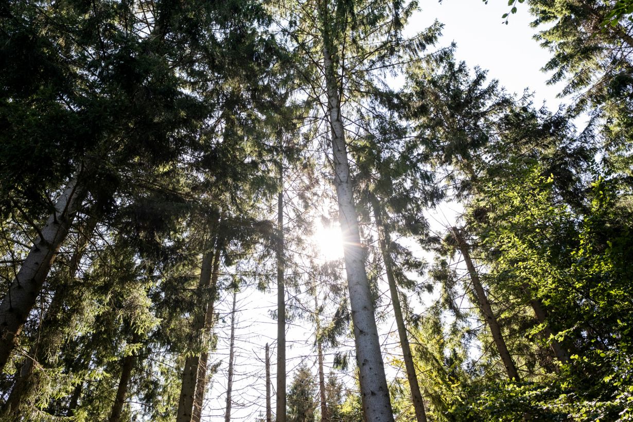 Møns klint med kraftig refleksion fra solen