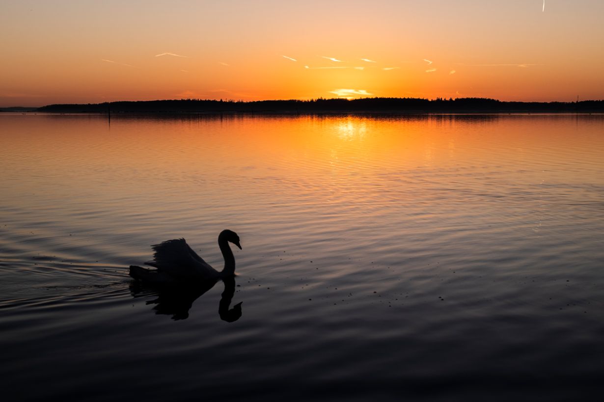 Møns klint med kraftig refleksion fra solen