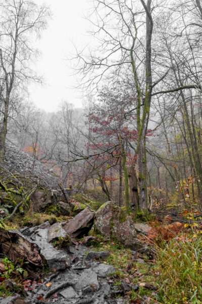 andersn_soderaasen-16