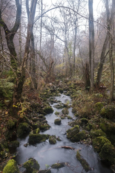 andersn_soderaasen-20