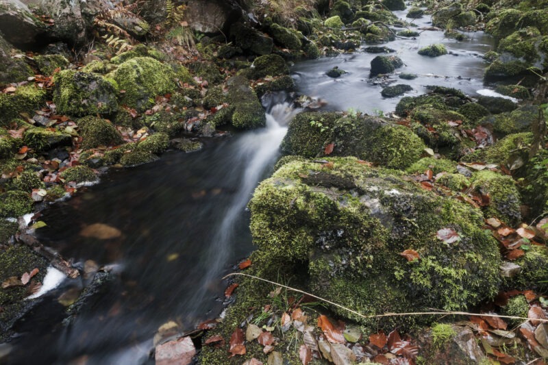 andersn_soderaasen-21