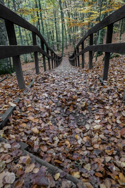 andersn_soderaasen-28