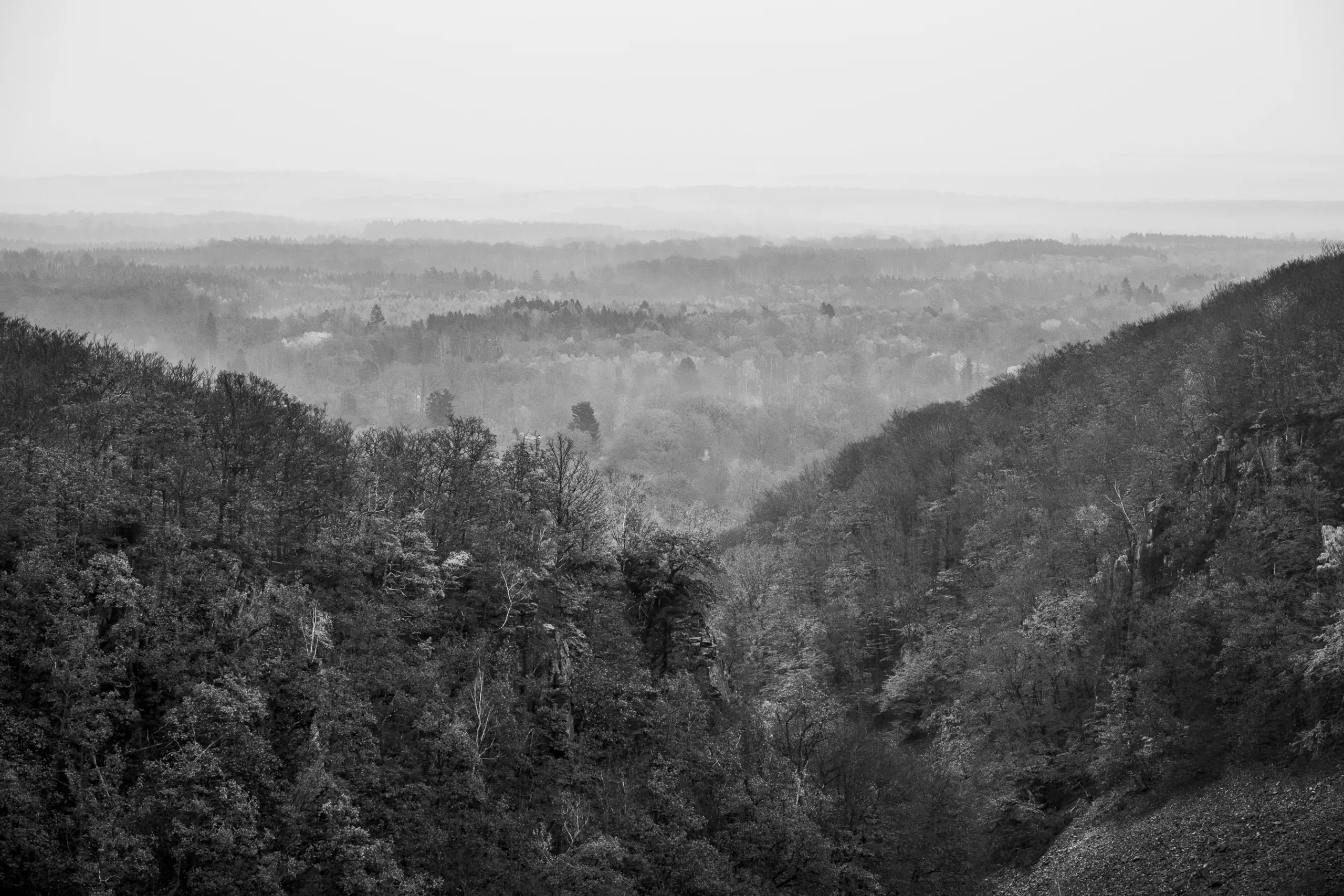 andersn_soderaasen-1