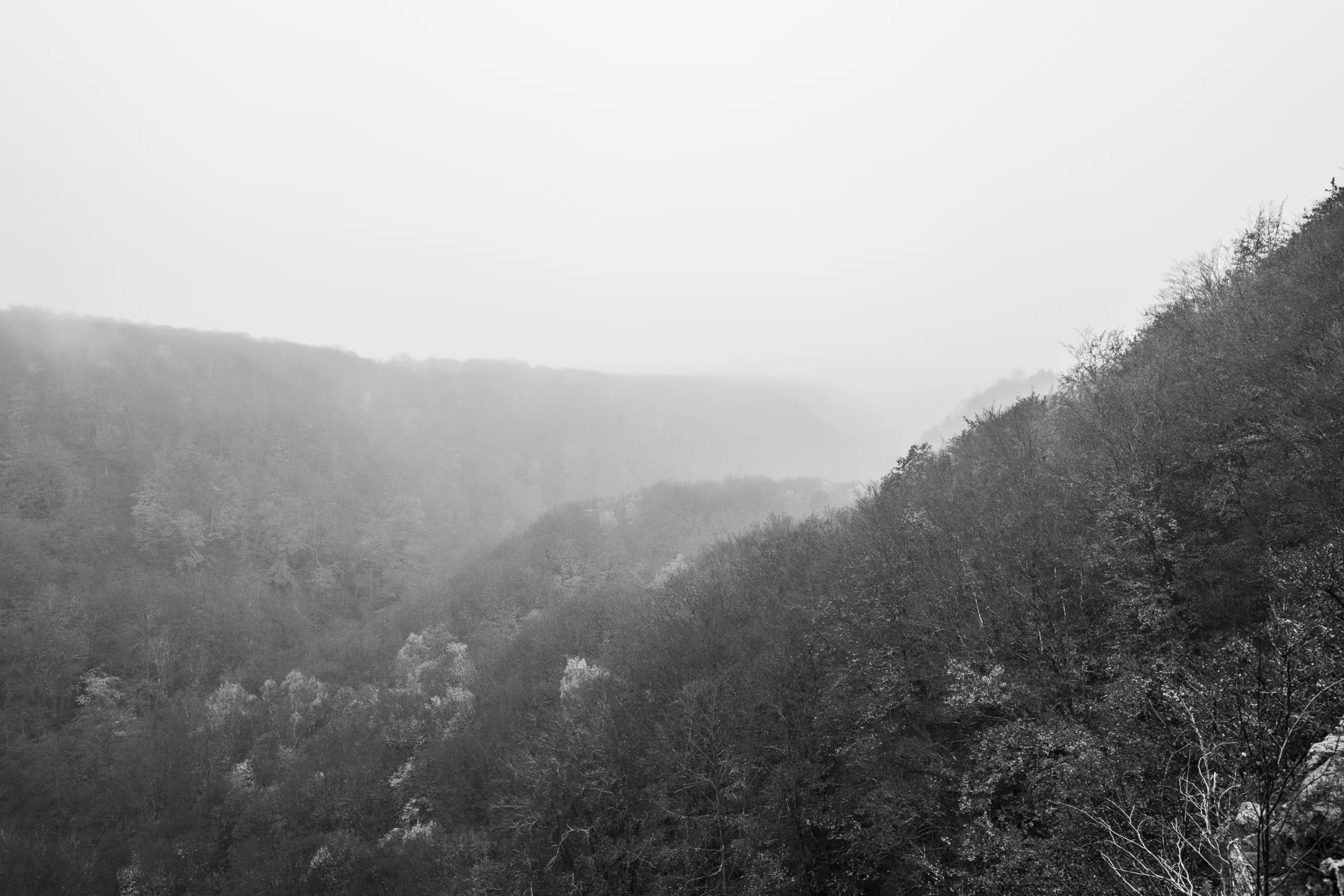 andersn_soderaasen-10