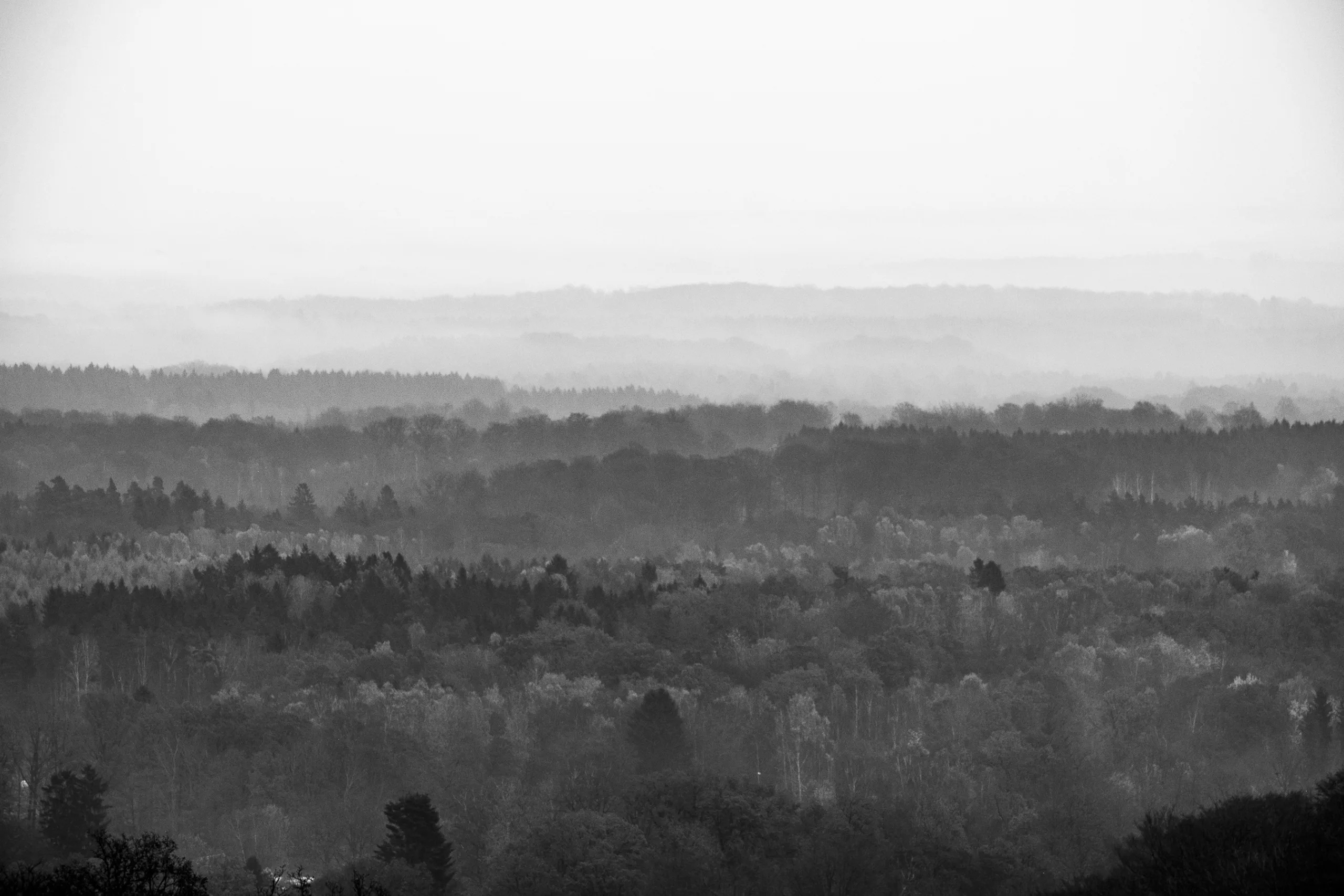 andersn_soderaasen-2