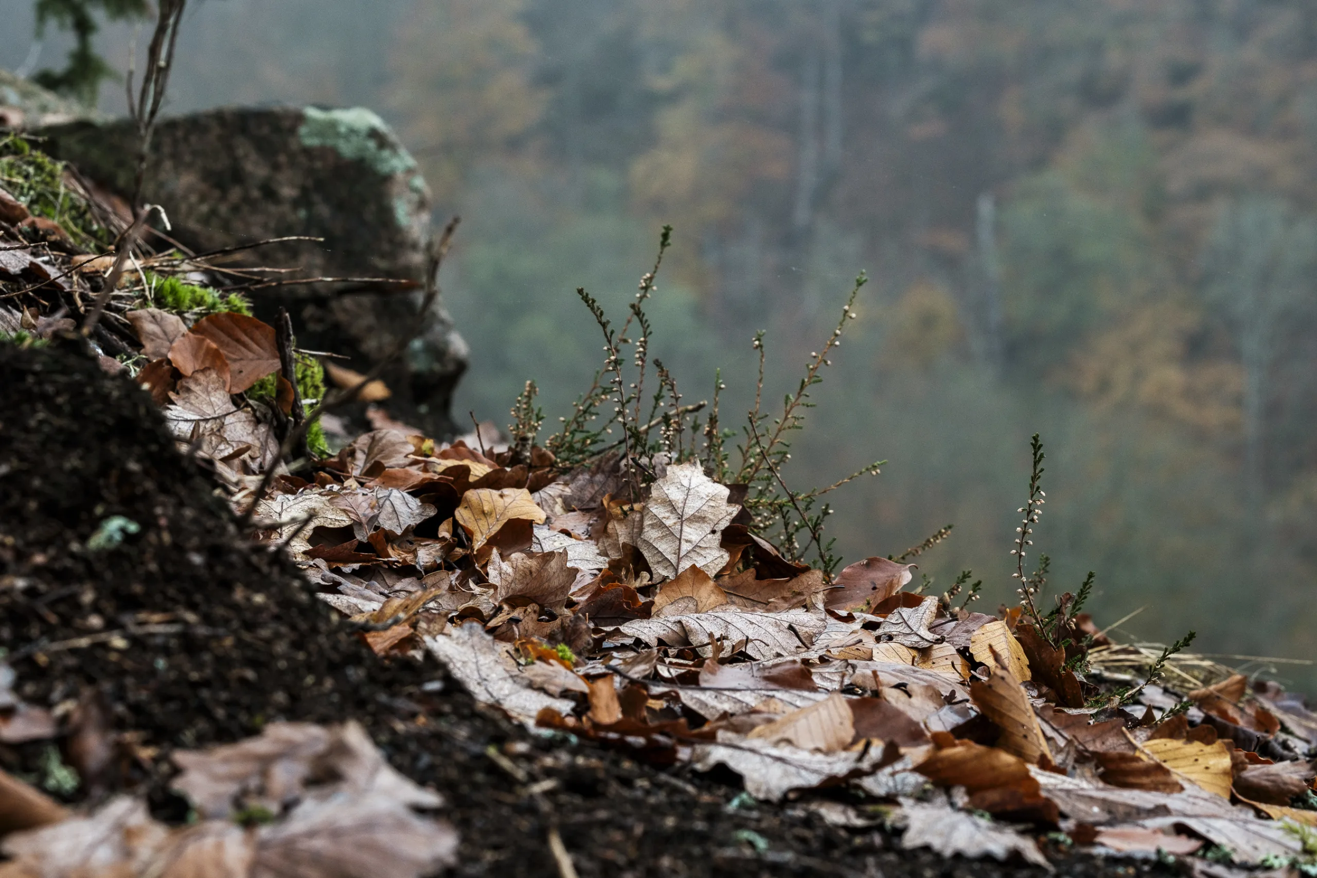 andersn_soderaasen-9