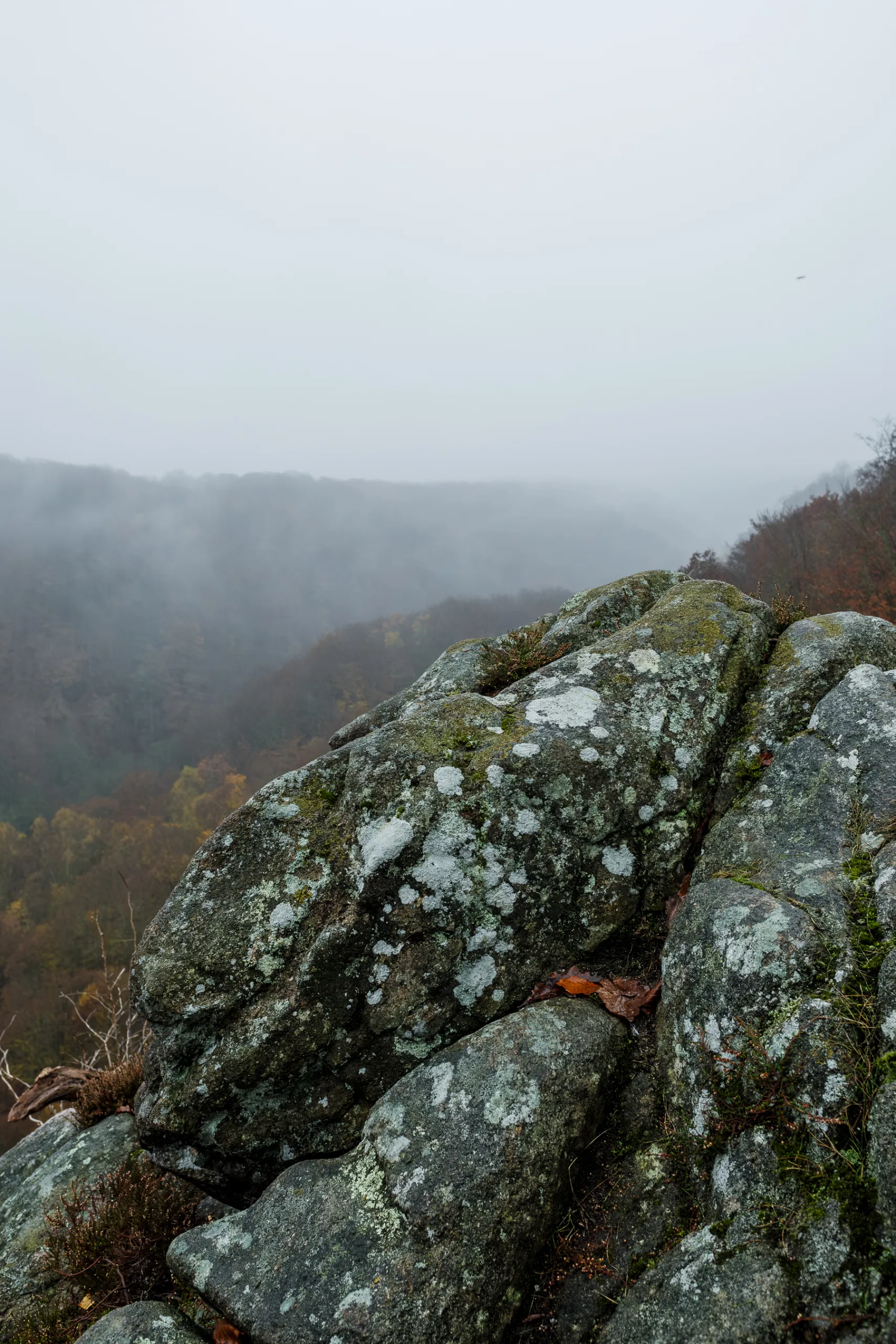 andersn_soderaasen-11