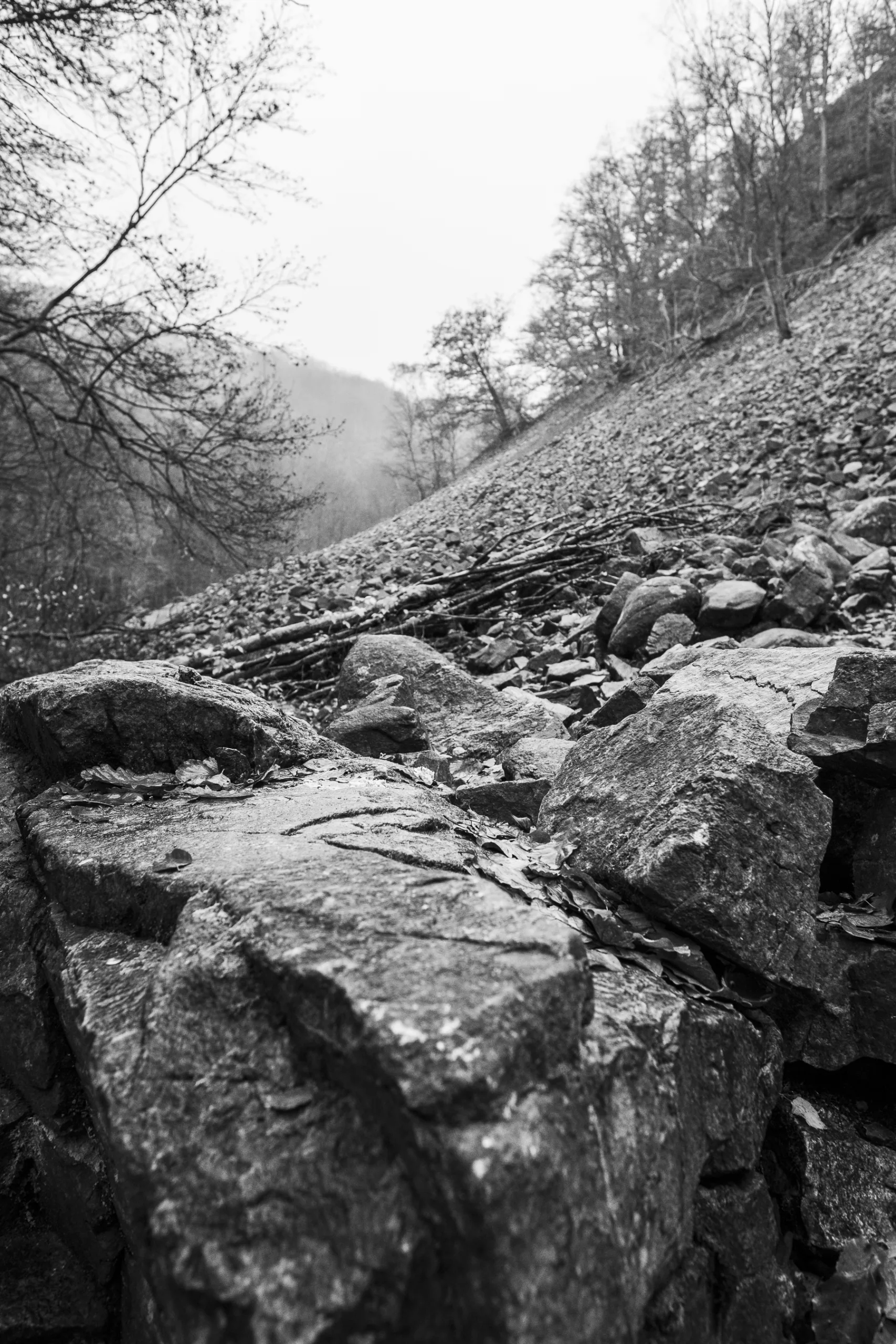 andersn_soderaasen-14