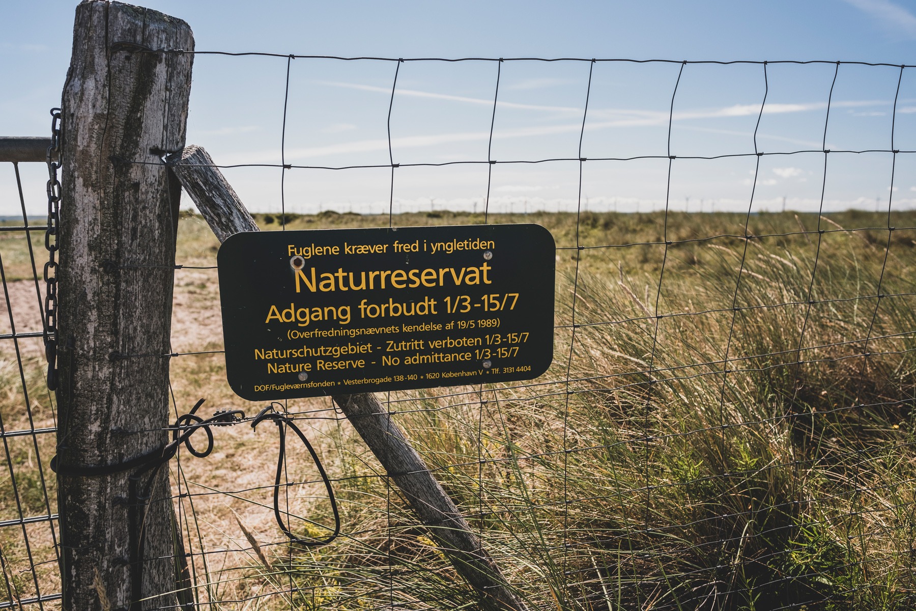 indgangen_saksfjed-hyllekrog_andersn.dk