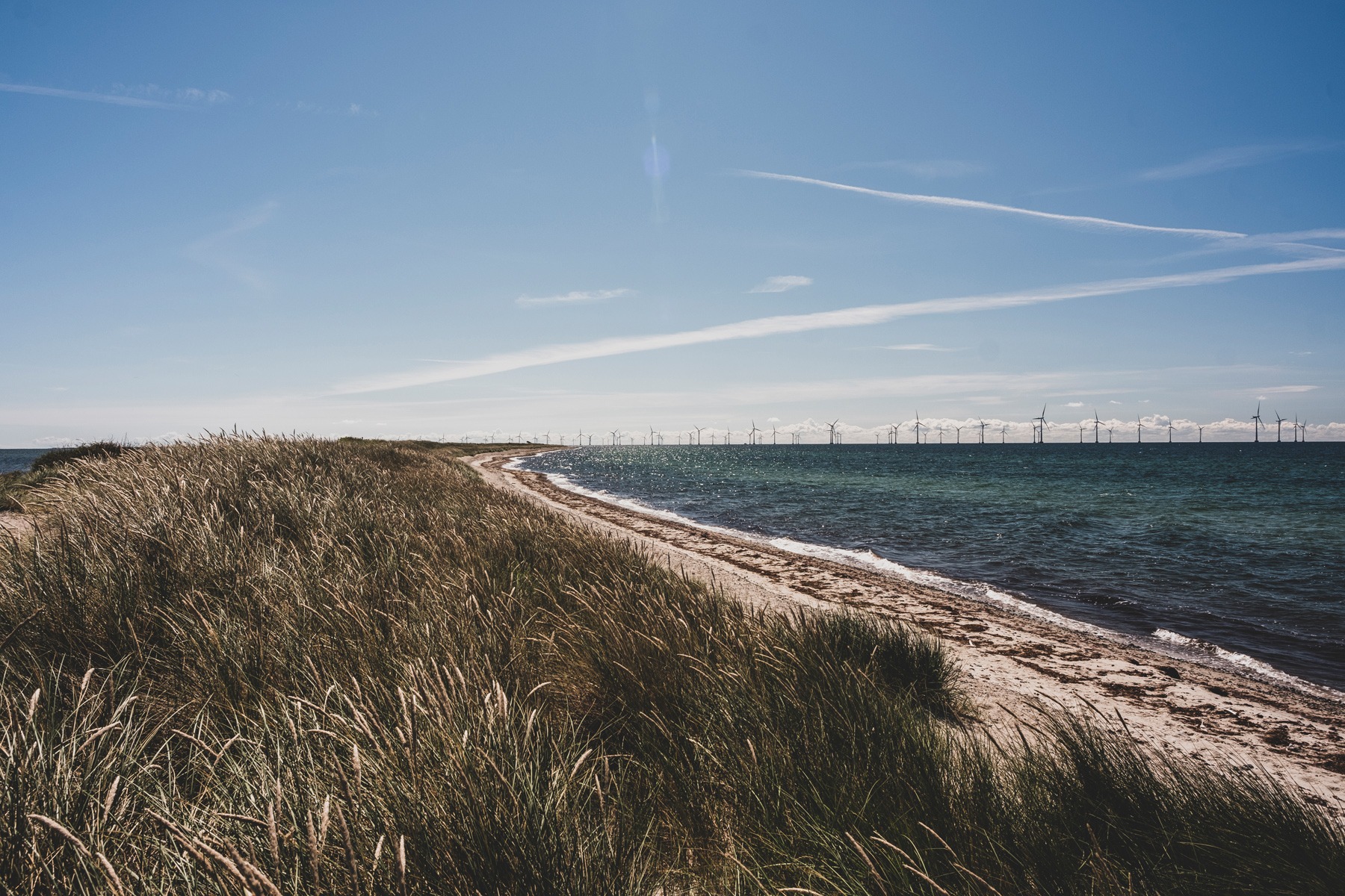 kysten_saksfjed-hyllekorg_andersn.dk