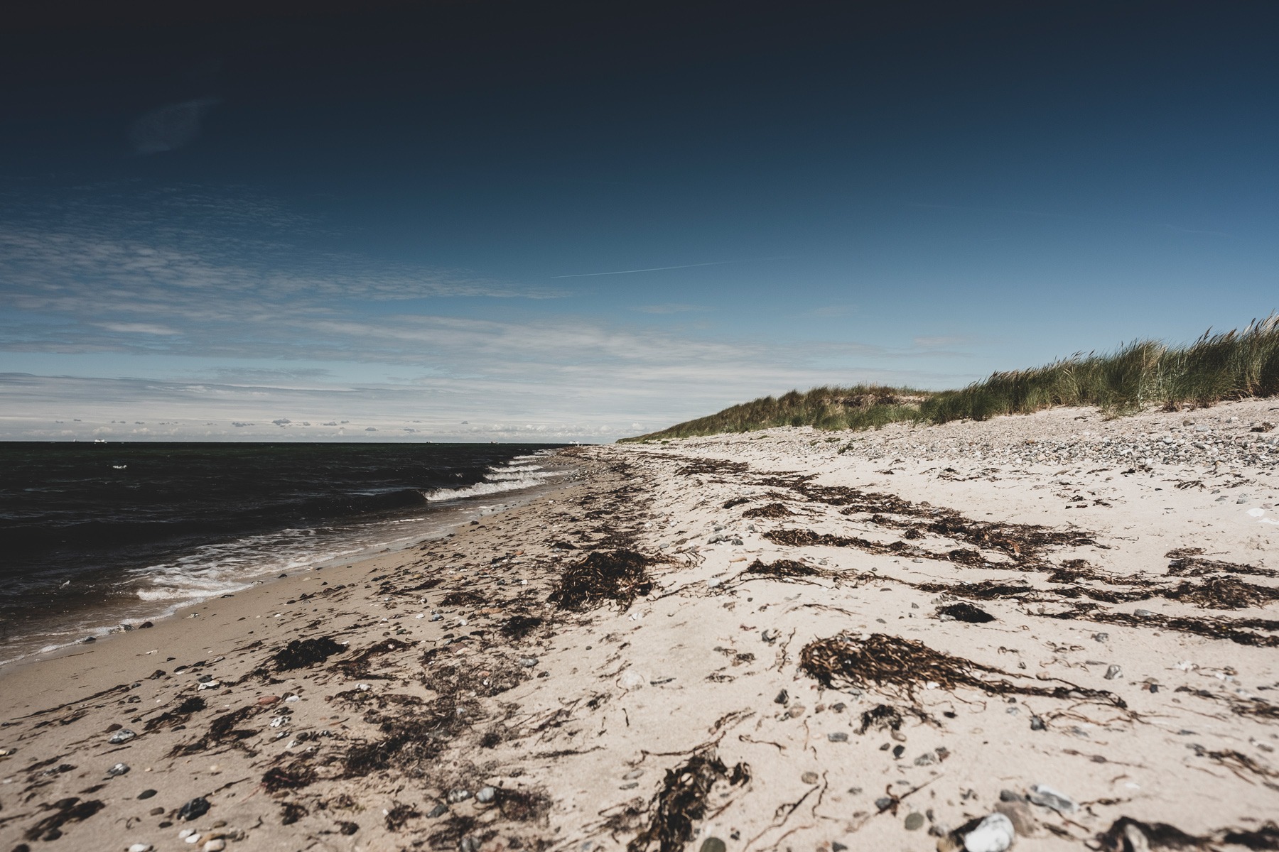 langs_stranden_saksfjed-hyllekrog_andersn.dk