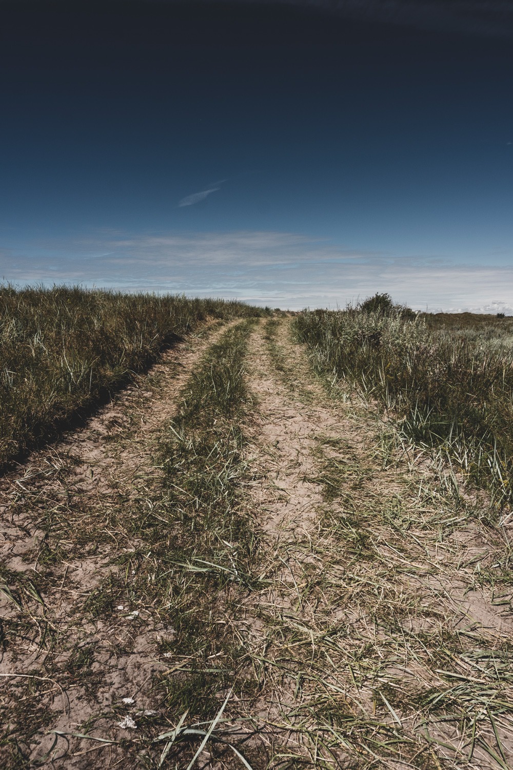 sti_saksfjed-hyllekrog_andersn.dk