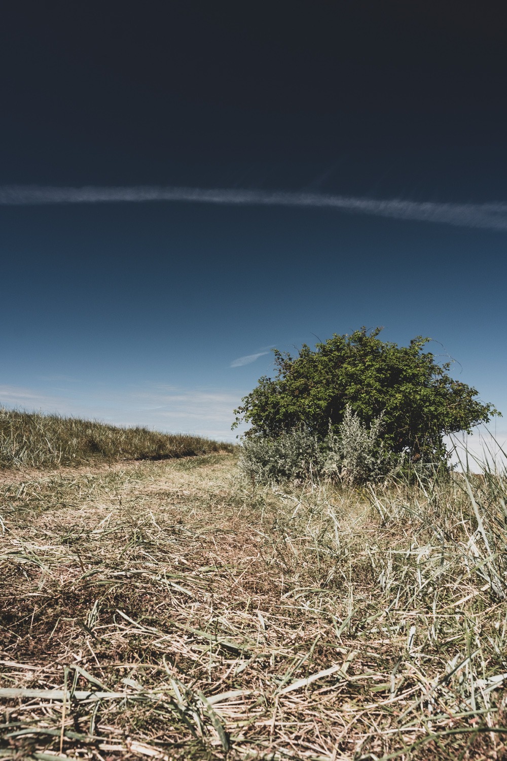 træ_saksfjed-hyllekorg_andersn.dk