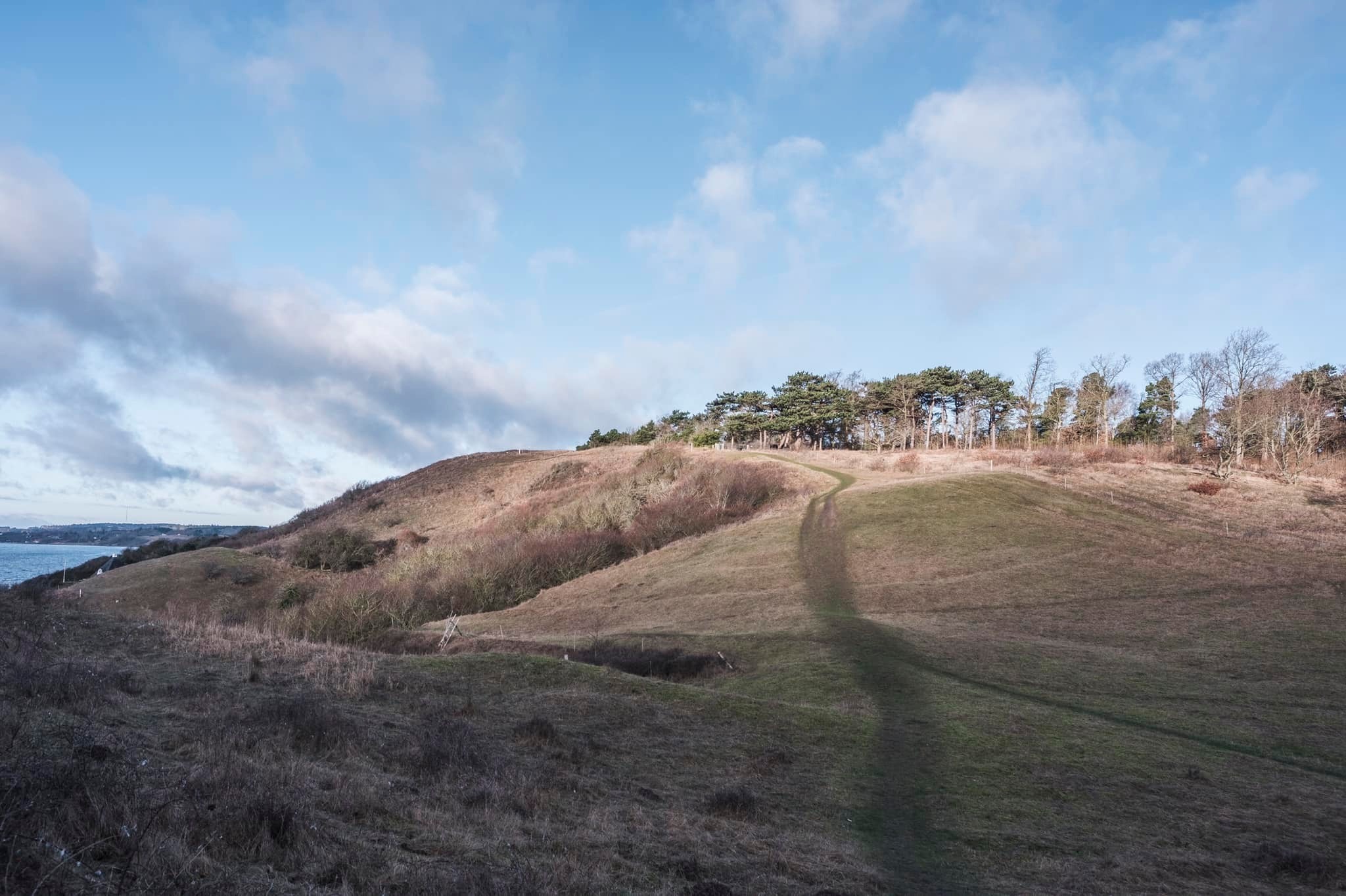 roesnaes_andersn.dk_33