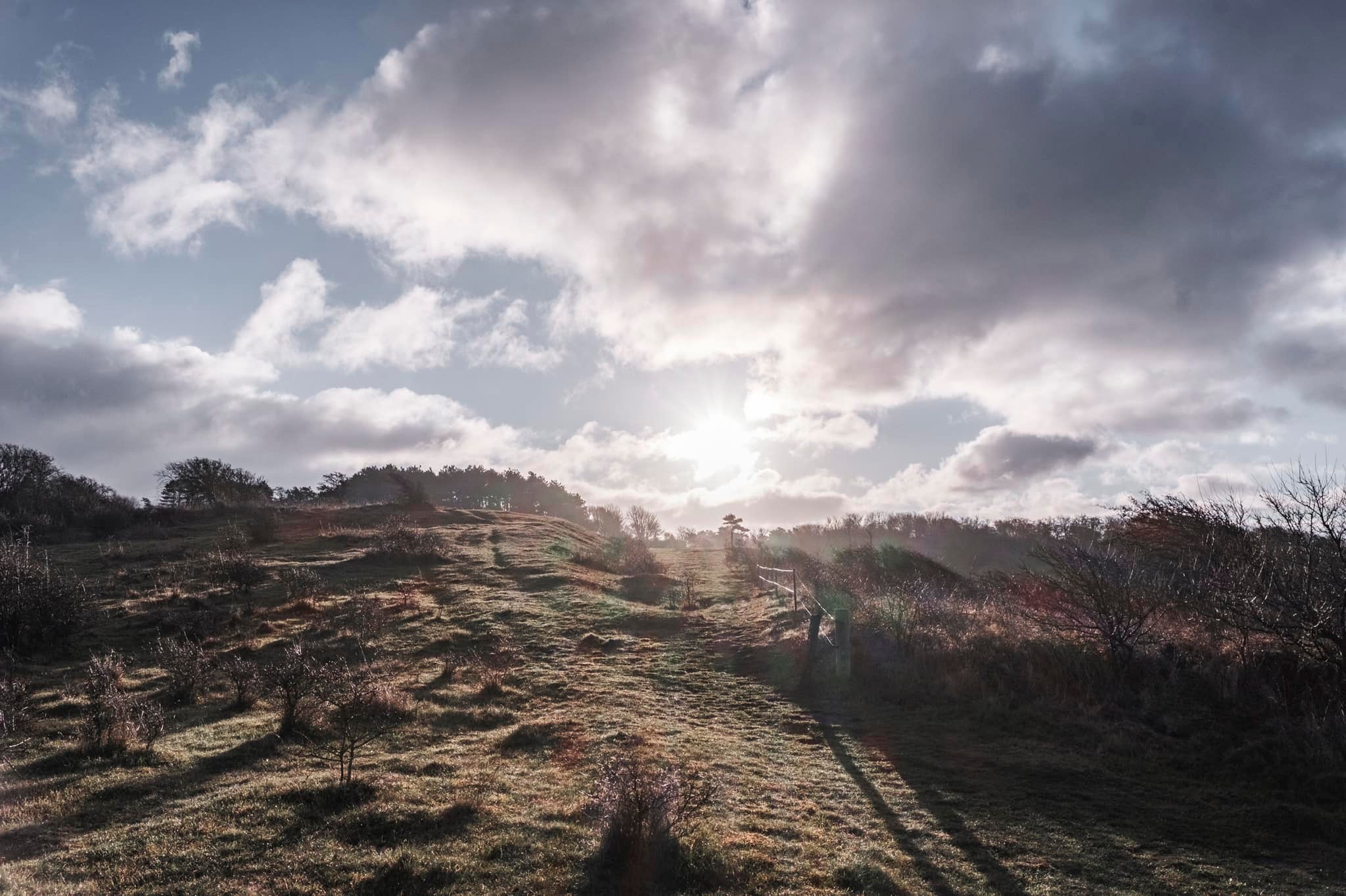 vandretur_røsnæs_andersn.dk_4