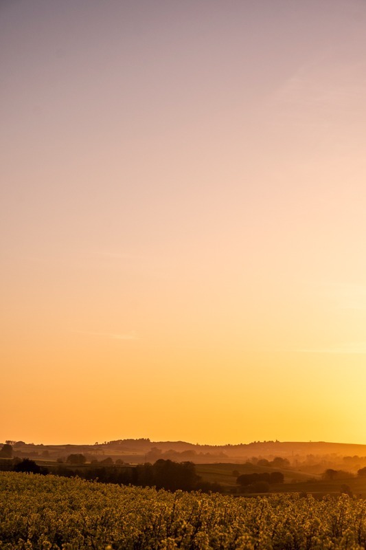 flotte_farver_ved_vejrhøj_andersn.dk