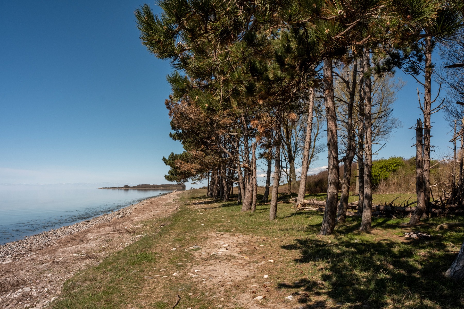 knudshoved_odde_andersn.dk_4