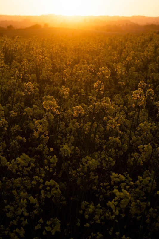 luftfoto_i_modlys_vejrhøj_andersn.dk