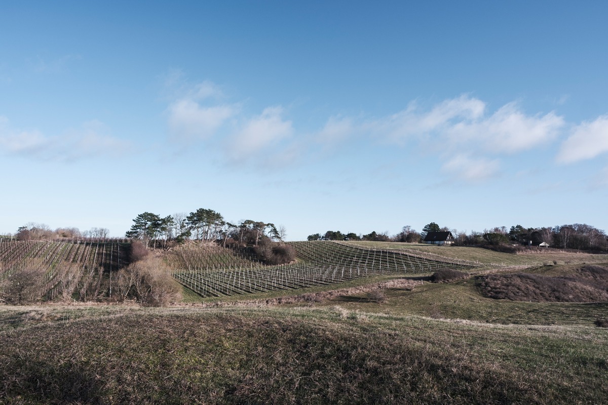 røsnæs_andersn.dk_4