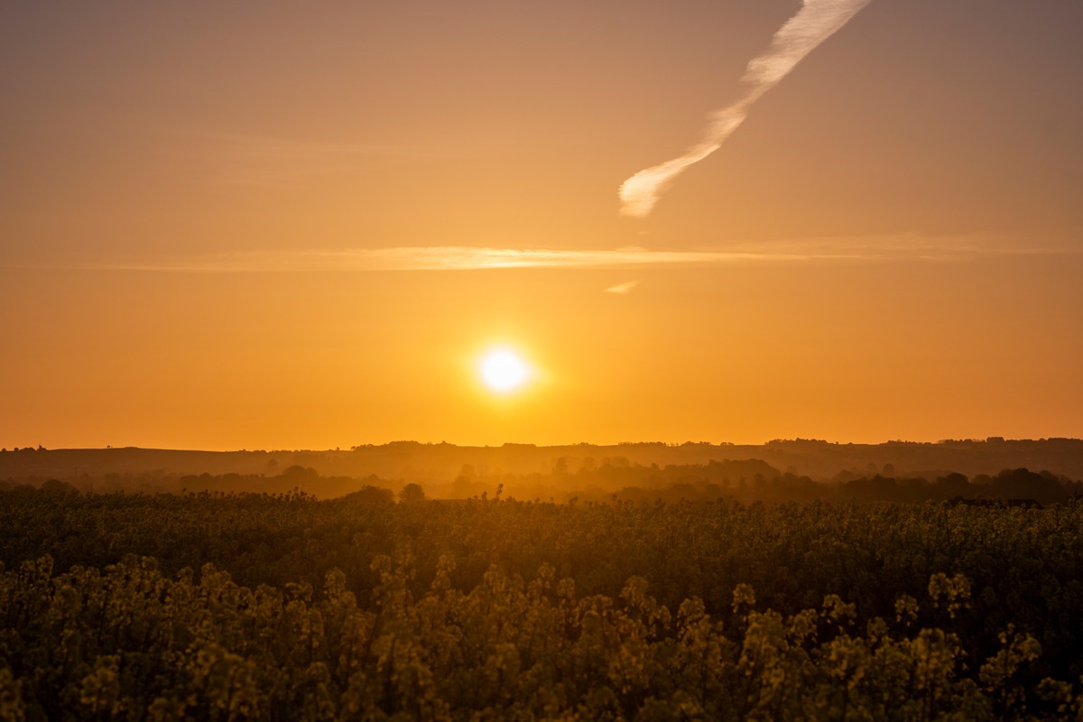 solopgang_i_modlys_ved_vejrhøj_andersn.dk