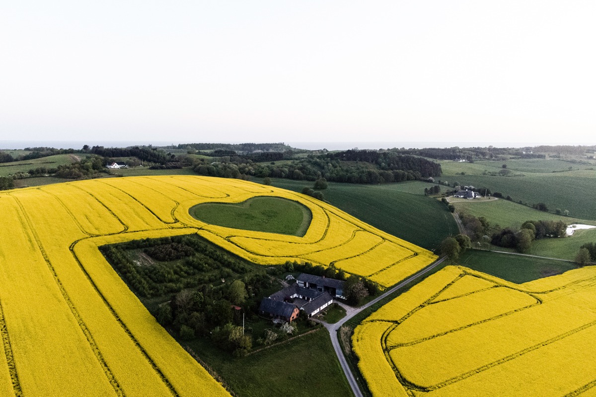 vejhoej_hjertet_fra_luften_andersn.dk