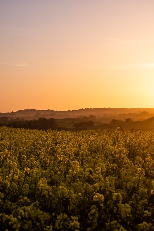 Vejrhøj_tidligt_om_morgenen_andersn.dk
