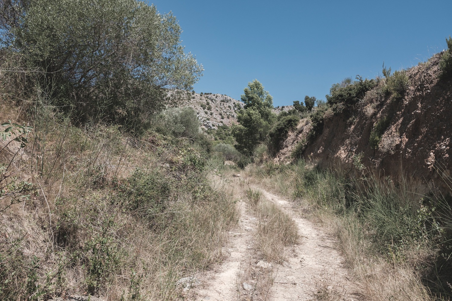 castell_montgri_andersn.dk_40