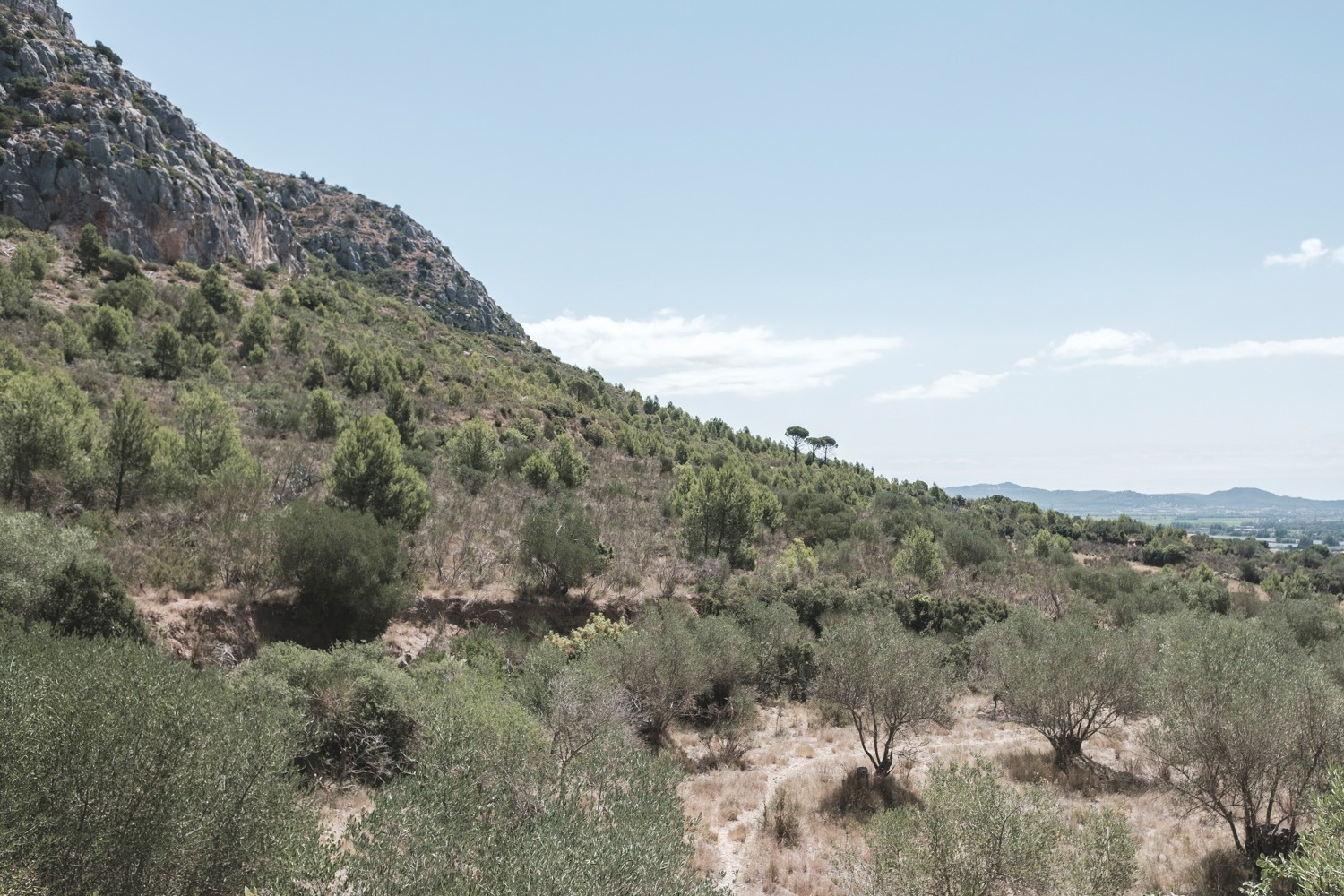 castell_montgri_andersn.dk_41