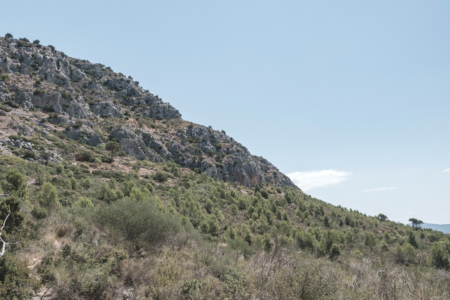 castell_montgri_andersn.dk_43