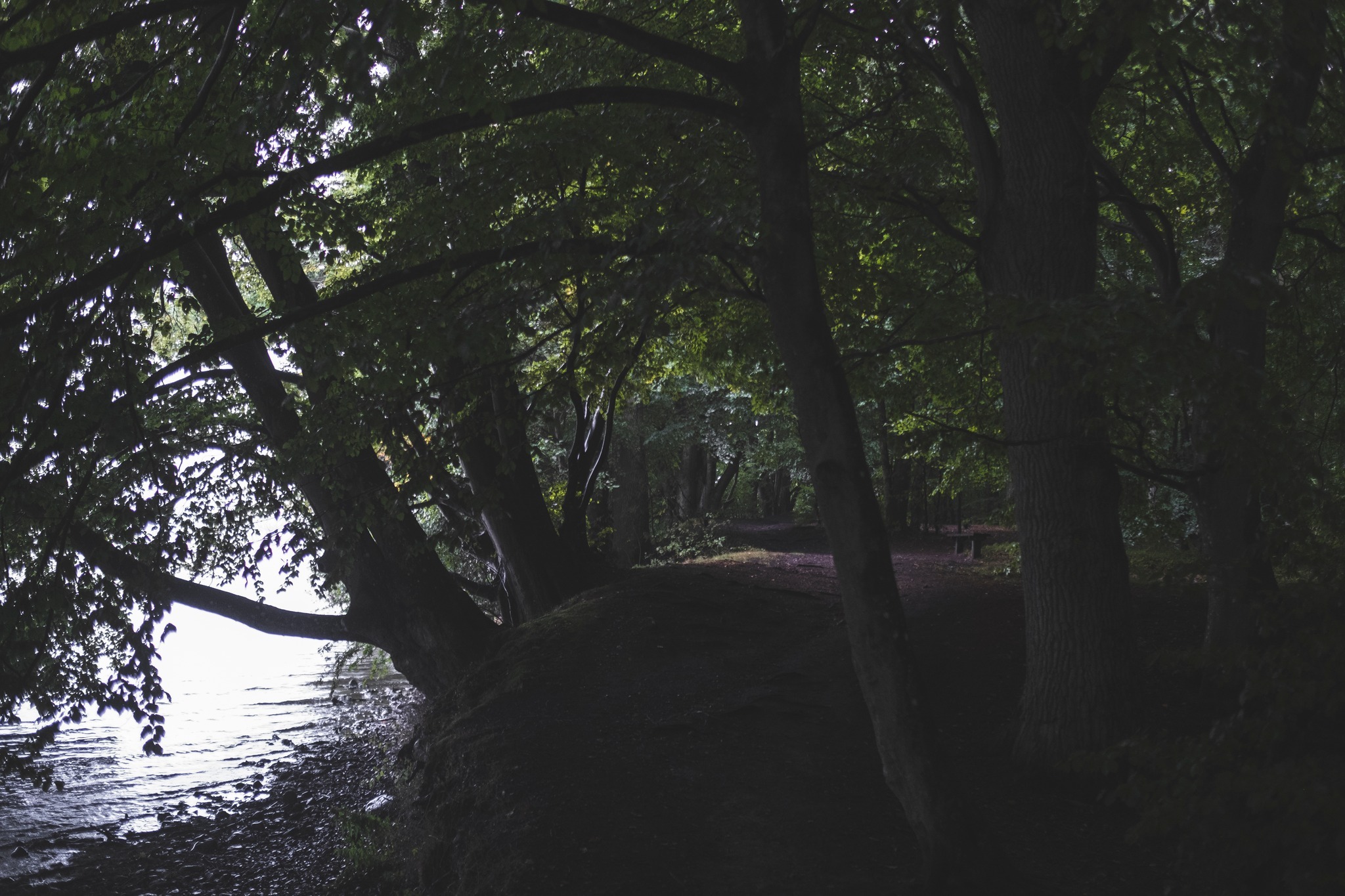 vandretur_gribskov_andersn.dk10