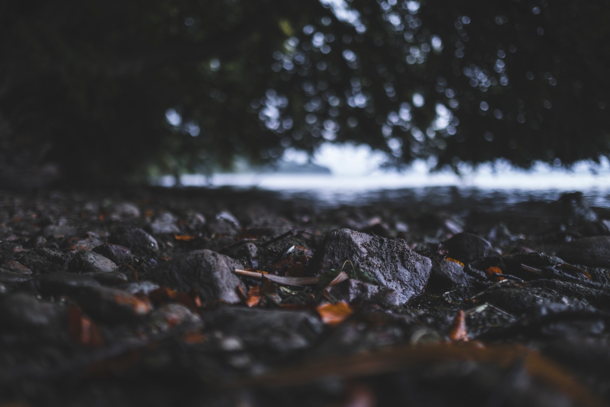 vandretur_gribskov_andersn.dk11