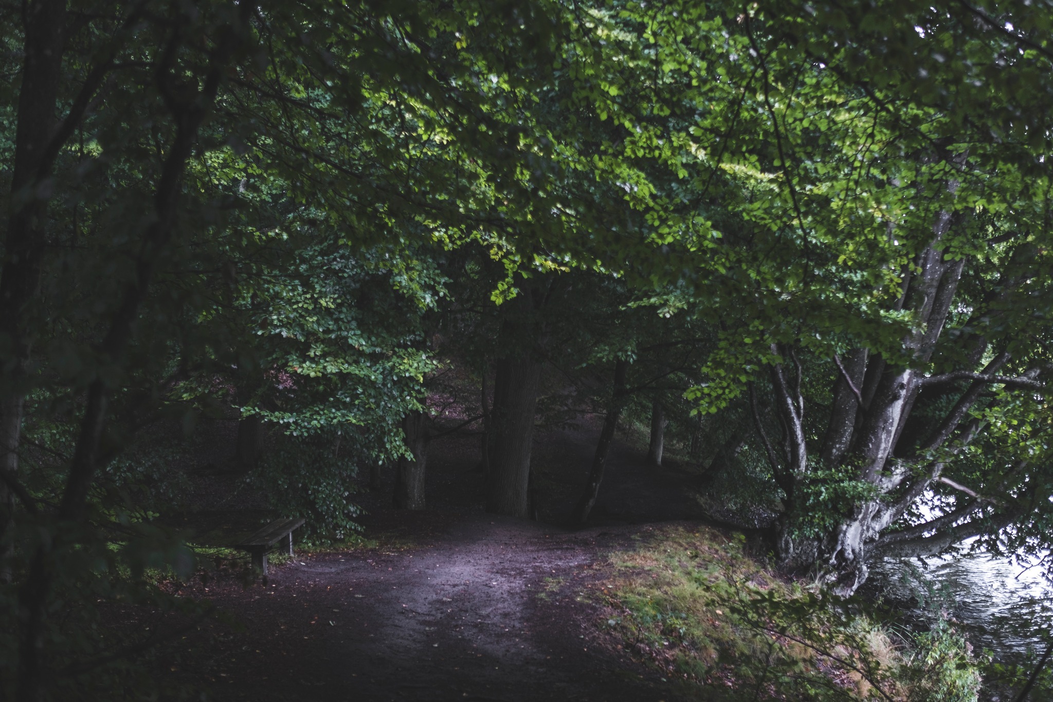 vandretur_gribskov_andersn.dk12