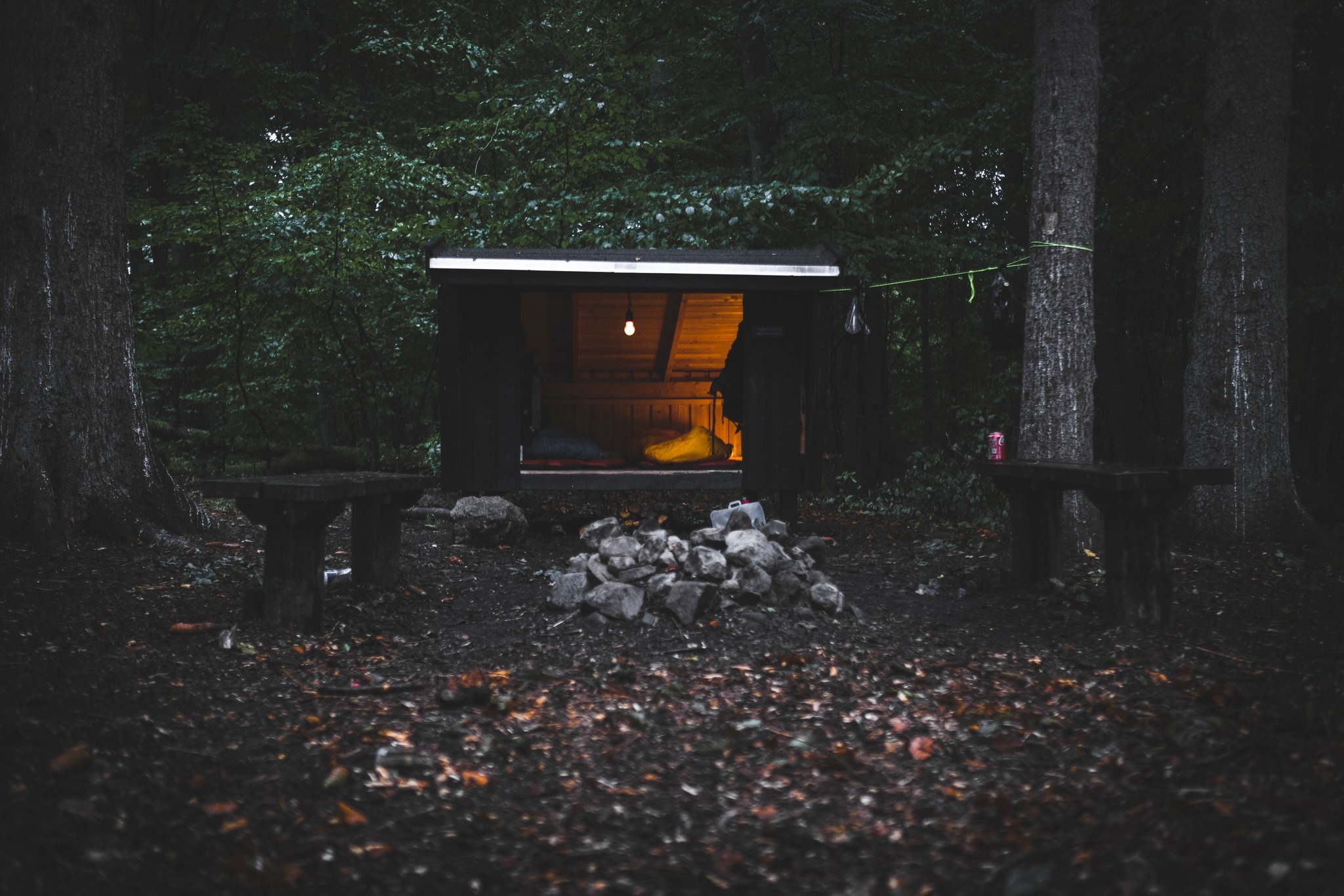 vandretur_gribskov_andersn.dk13