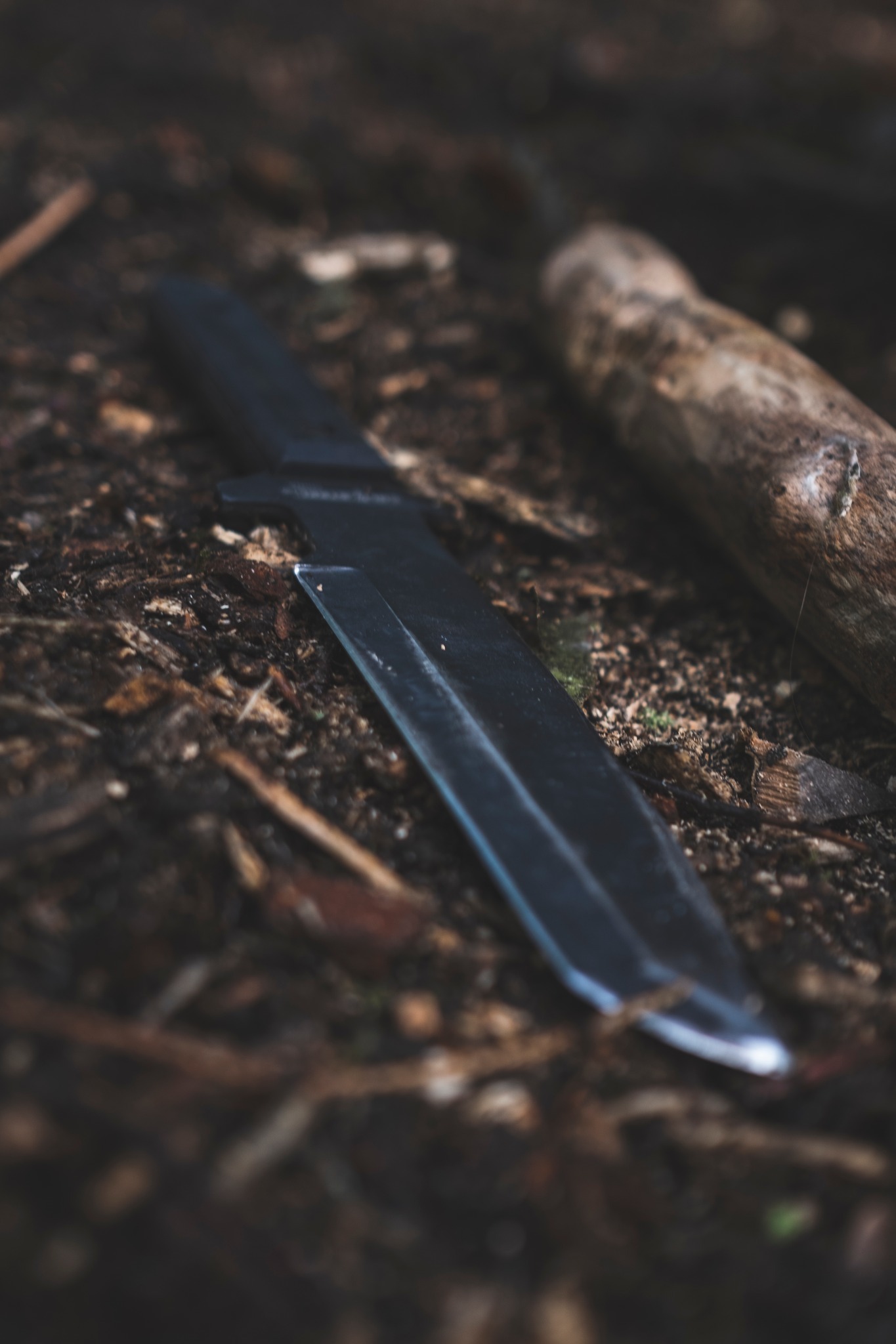 vandretur_gribskov_andersn.dk2