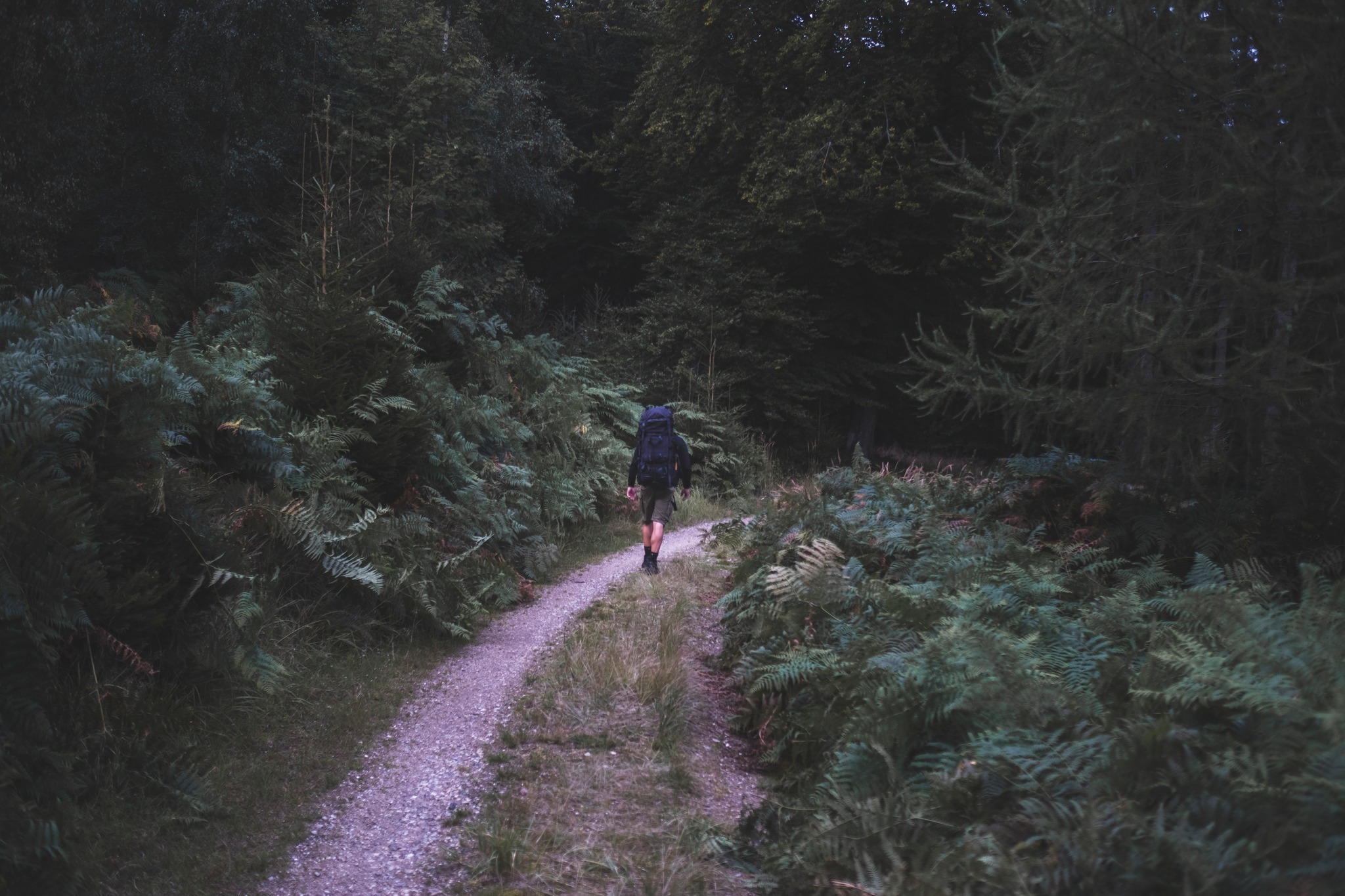 vandretur_gribskov_andersn.dk20