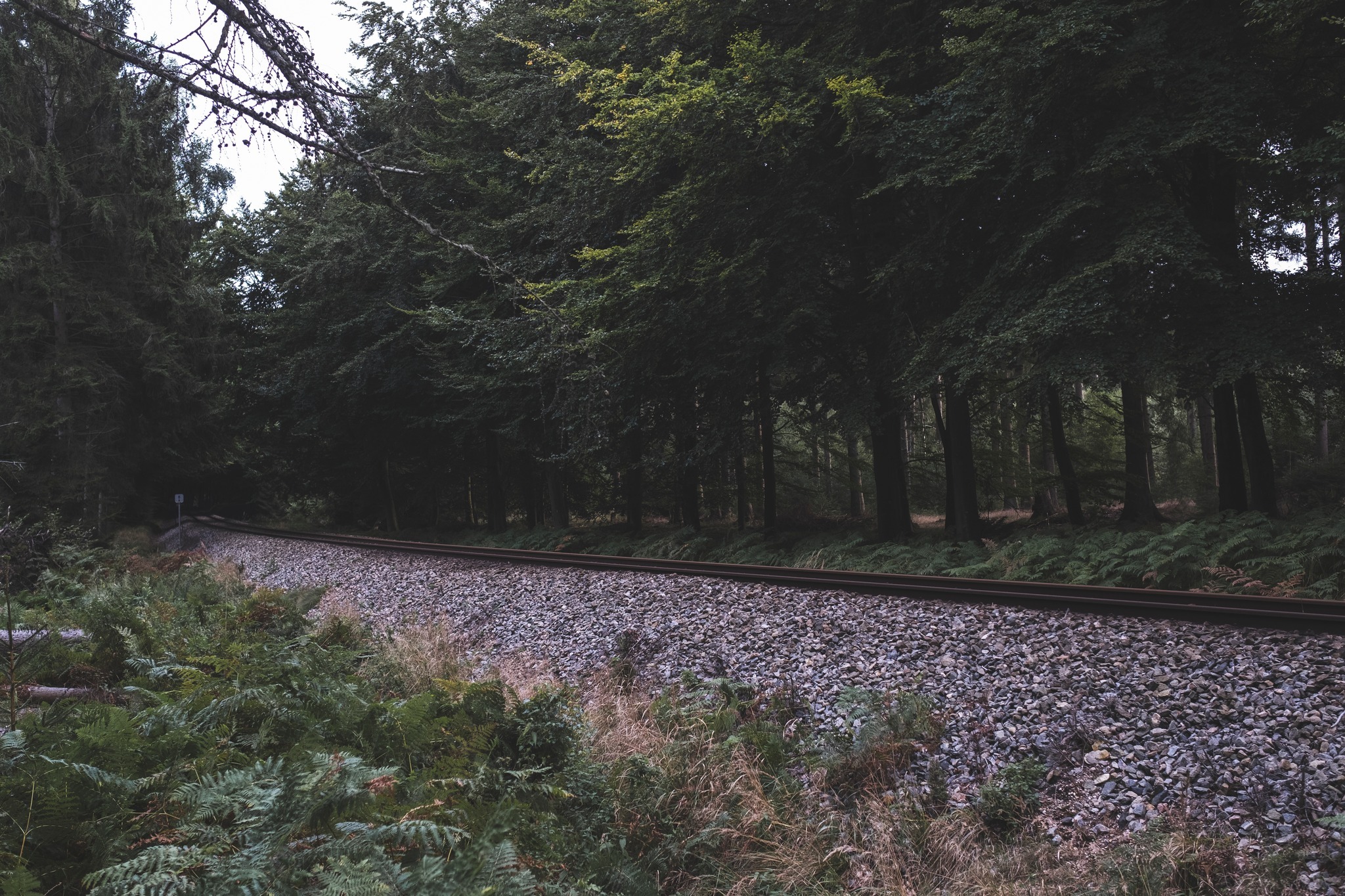 vandretur_gribskov_andersn.dk22