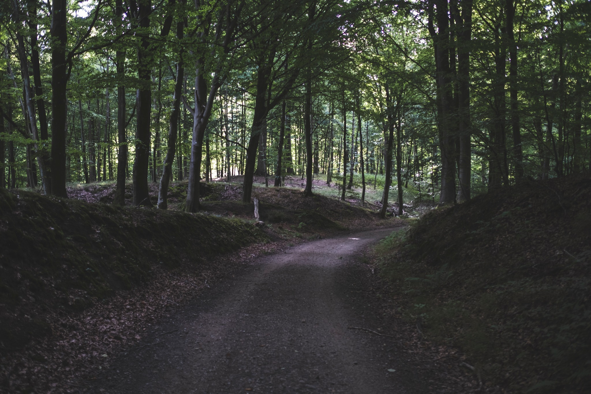 vandretur_gribskov_andersn.dk25