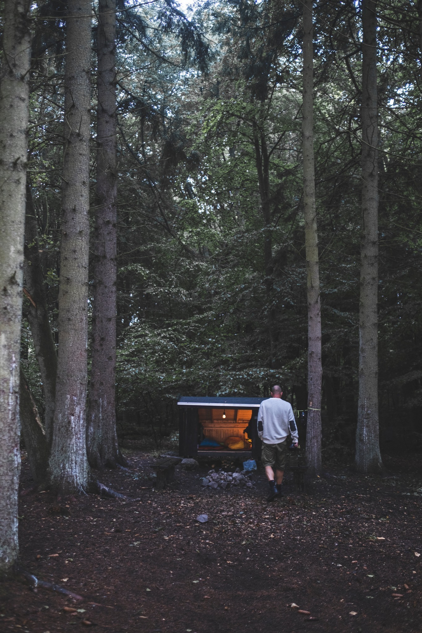 vandretur_gribskov_andersn.dk8