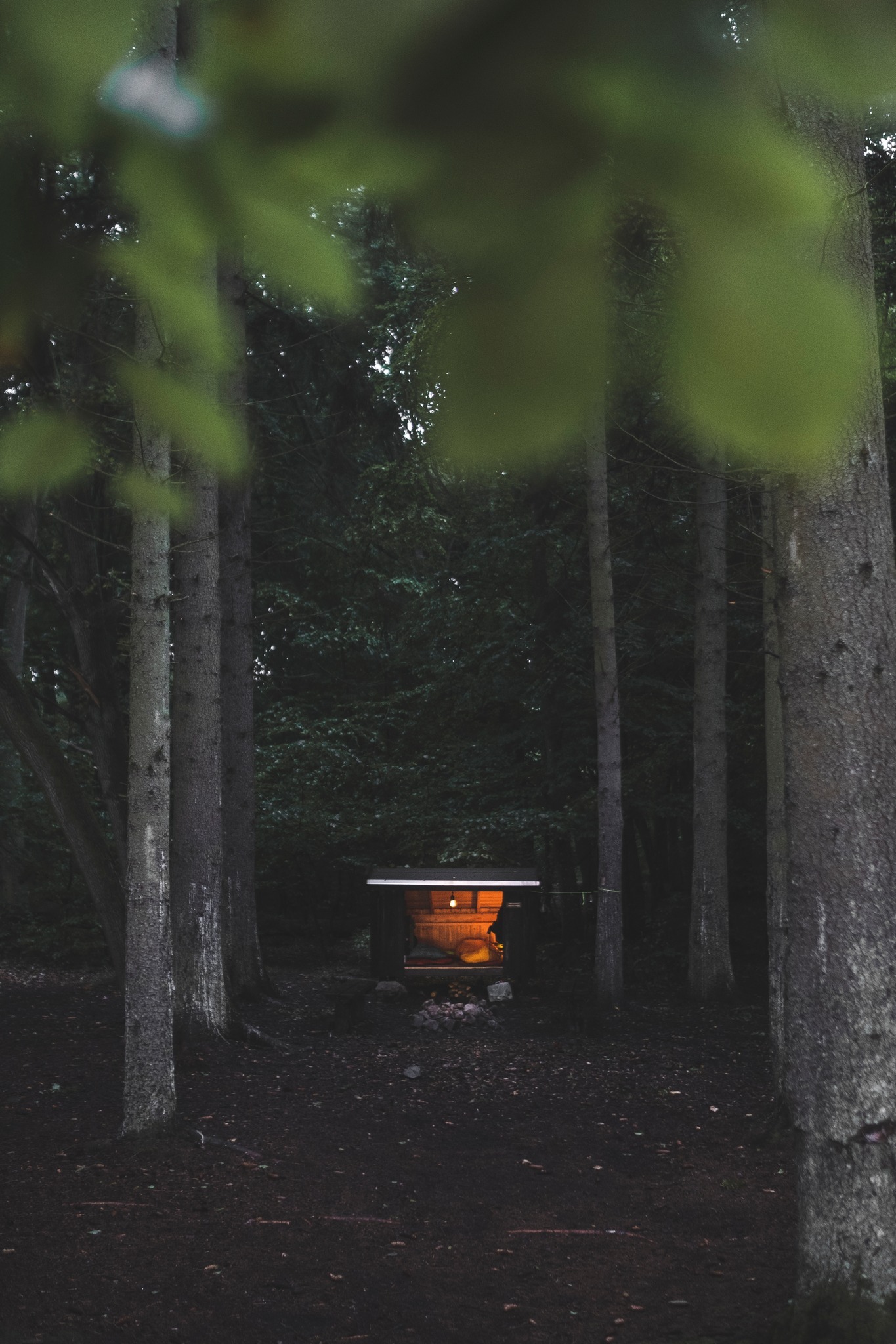 vandretur_gribskov_andersn.dk9