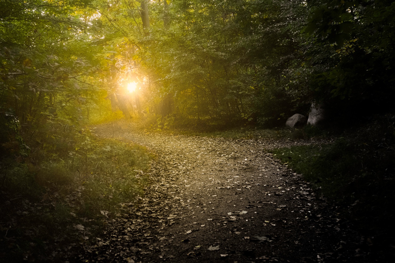 andersn_modlys_i_buresoe