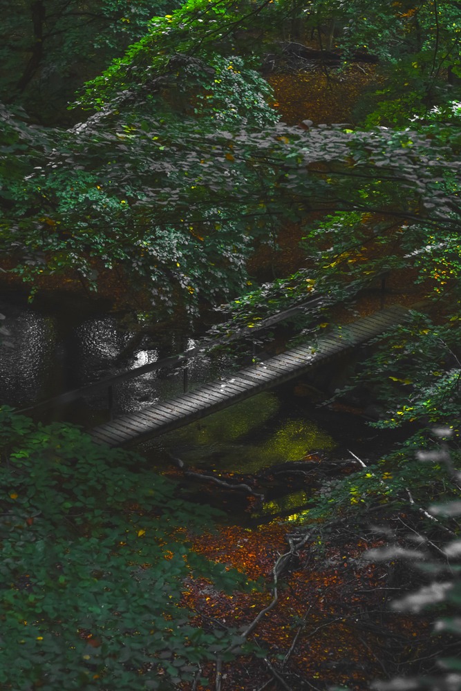 andersn_bro_skovhus_vaenge_visuals