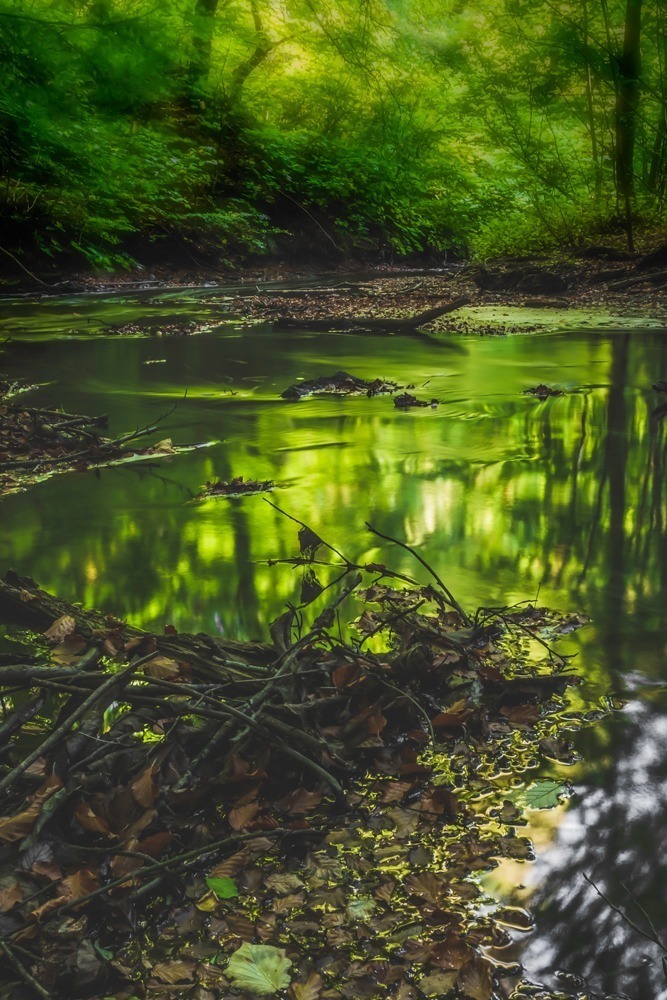 andersn_skovusvaenge_koge_aa_1