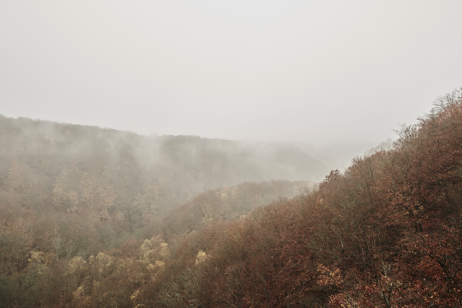 andersn_soderaasen_1