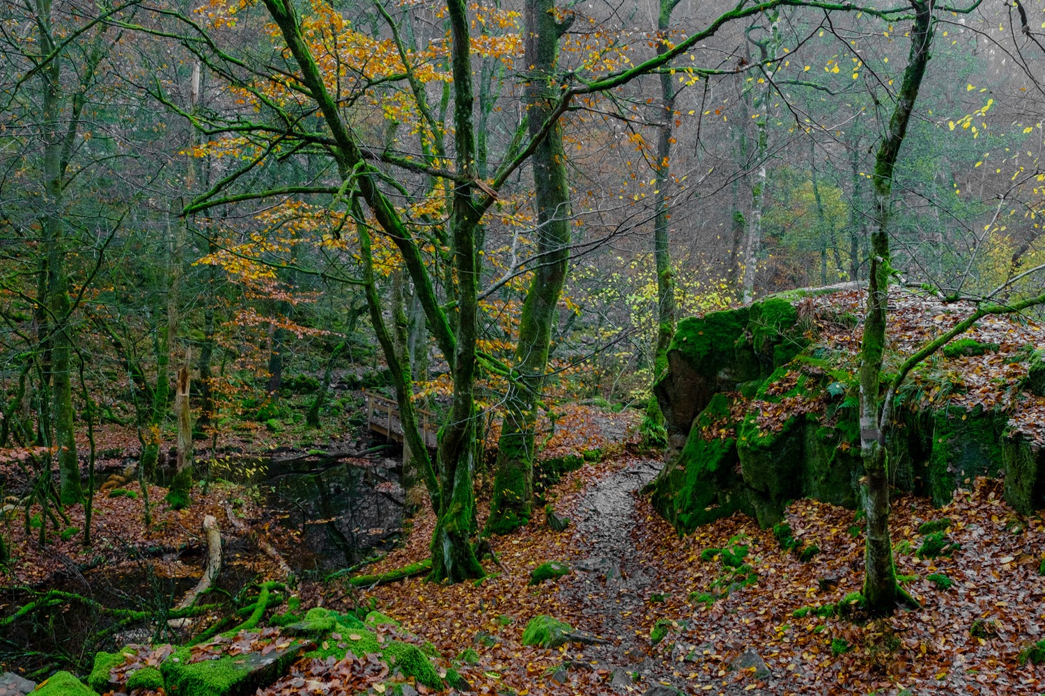 andersn_soderaasen_17