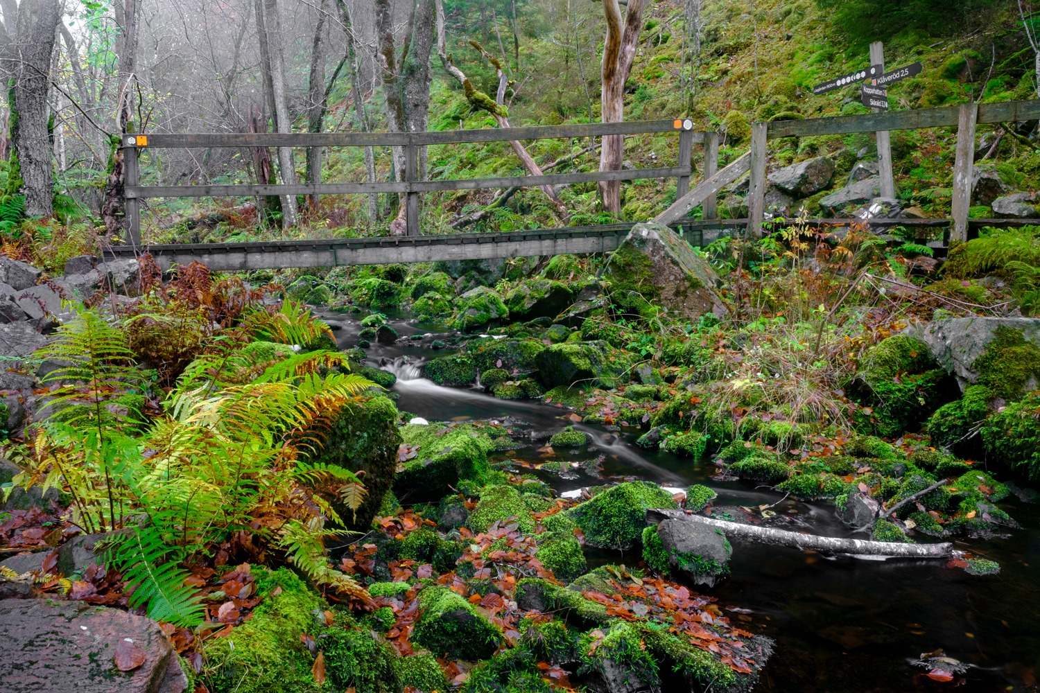 andersn_soderaasen_21