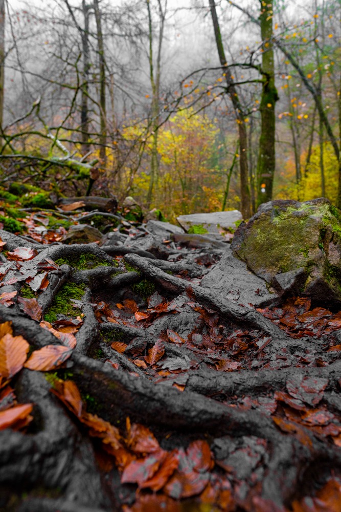 andersn_soderaasen_31