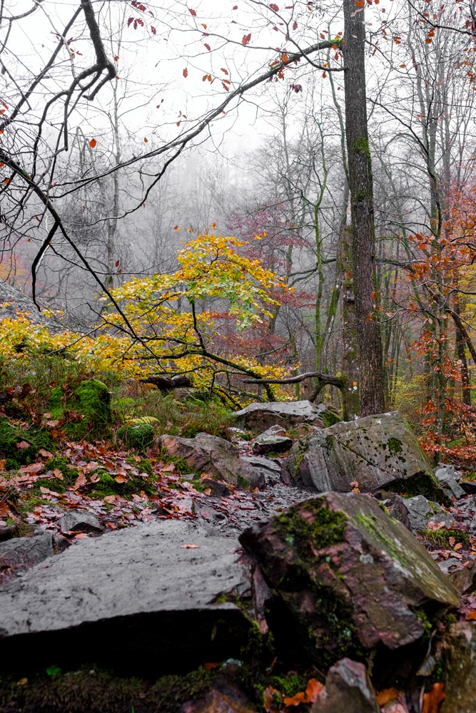 andersn_soderaasen_34