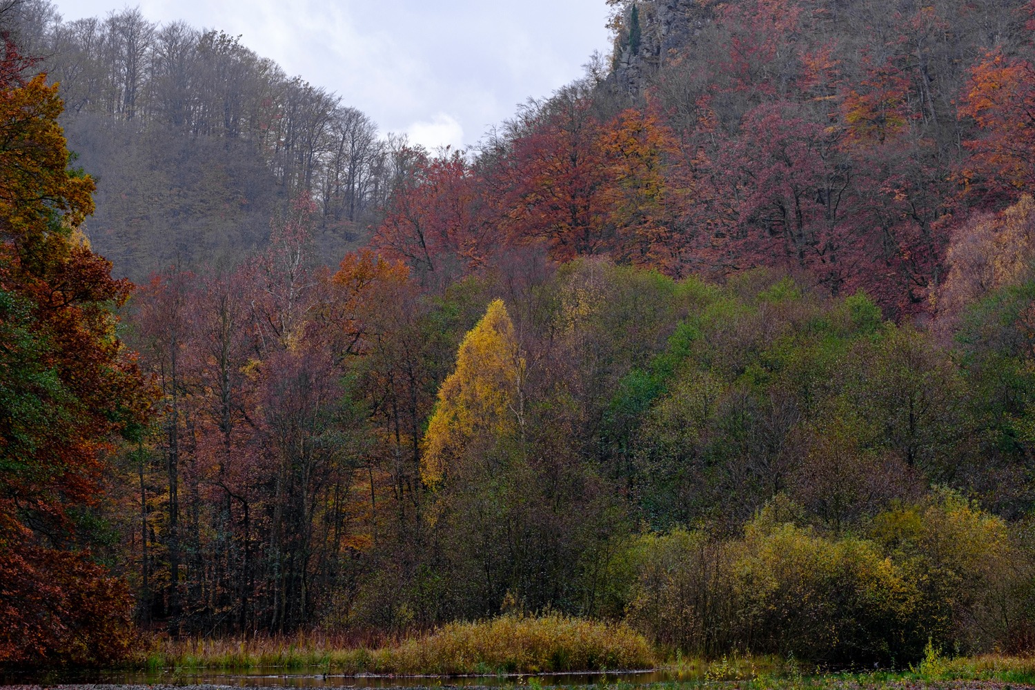 andersn_soderaasen_4