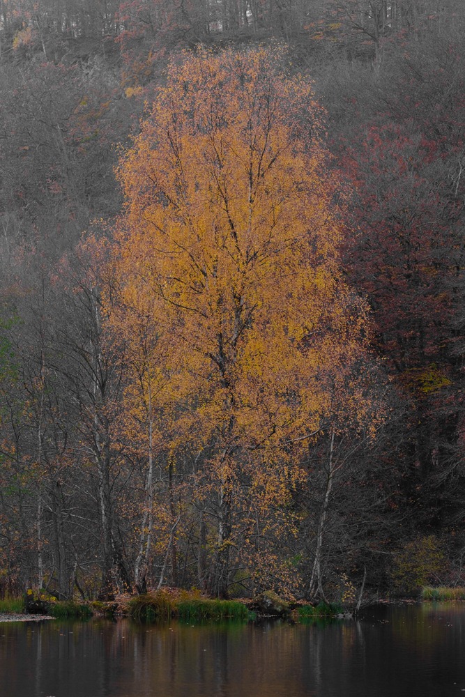 andersn_soderaasen_5