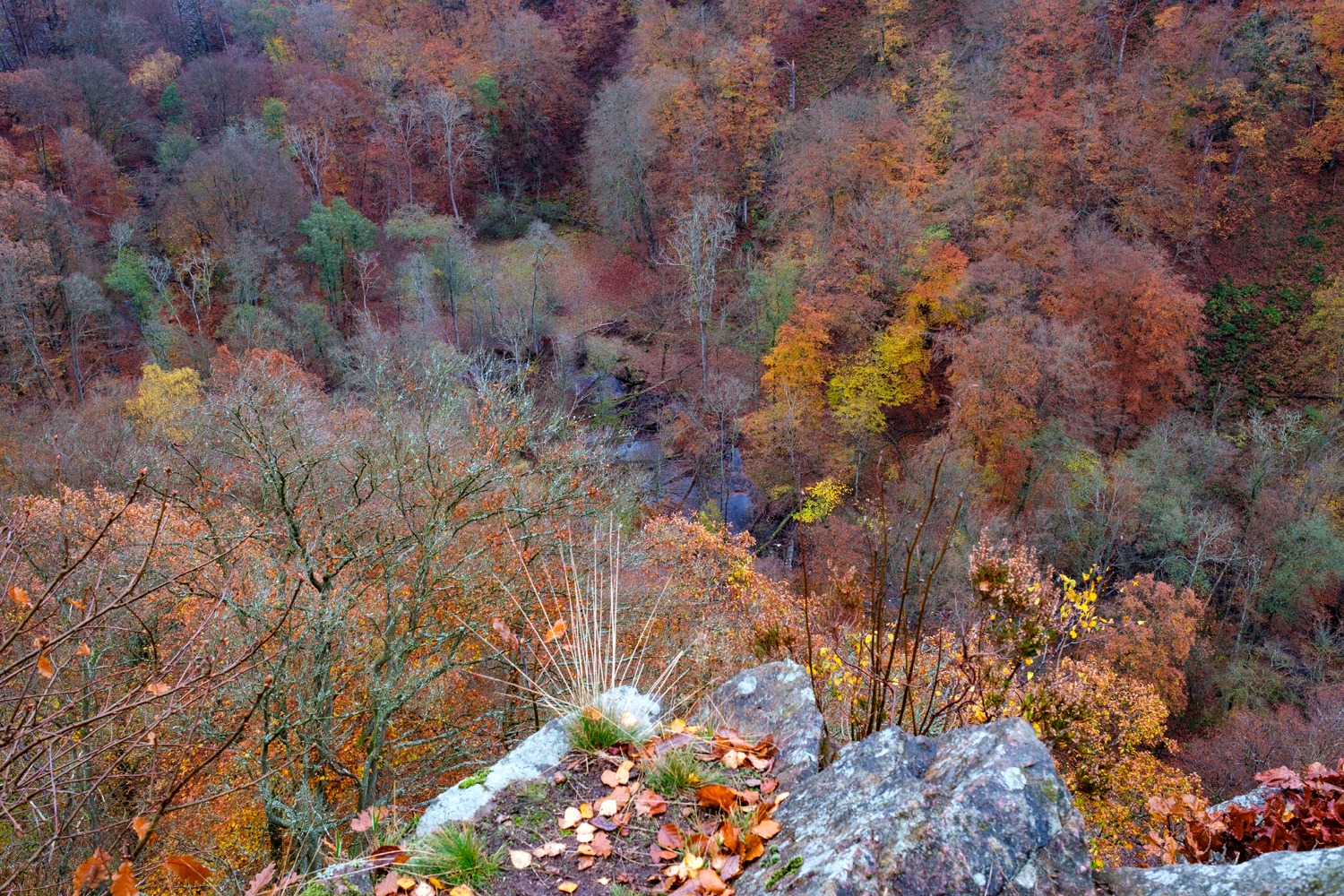 andersn_soderaasen_53